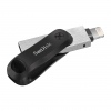 SanDisk iXpand Flash Drive Go/256GB/USB 3.0/Lightning + USB-A/Černá