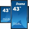 43" iiyama T4362AS-B1:IPS,4K UHD,Android,24/7