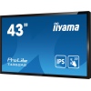 43" iiyama T4362AS-B1:IPS,4K UHD,Android,24/7