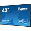 43" iiyama LE4341S-B2: IPS,FHD,3xHDMI,LAN,USB