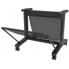 Epson Stand 24" LFP desktop