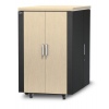 NetShelter CX 24U Secure Soundproofed Server Room in a Box Enclosure International