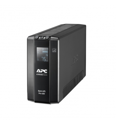 APC Back UPS Pro BR 650VA