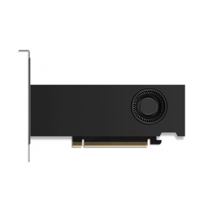 NVIDIA RTX 2000 Ada/16GB/GDDR6