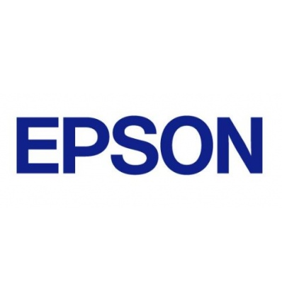 Epson High Cabinet P1