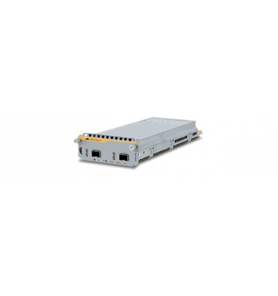 Allied Telesis 2x10G SFP+ module AT-XEM-2XS