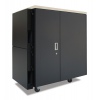 NetShelter CX 24U Secure Soundproofed Server Room in a Box Enclosure International