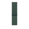 Watch Acc/46/Lake Green Sport Loop