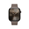 Watch Acc/42/Dark Taupe Modern Buckle - Small