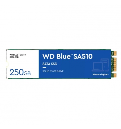 WD Blue SA510/250GB/SSD/M.2 SATA/5R