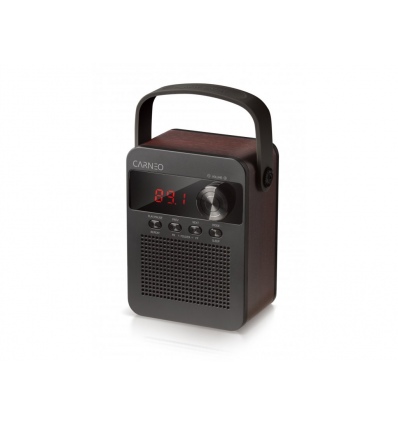 CARNEO F90 FM rádio, BT reproduktor, black/wood