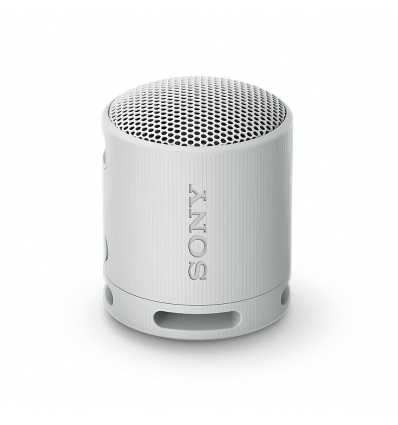 Sony SRS-XB100/Mono/Šedá