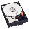 WD Blue/500GB/HDD/3.5"/SATA/7200 RPM/2R