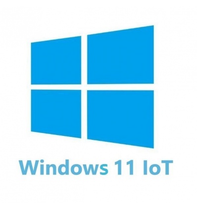 Windows 11 IoT Enterprise 2024 LTSC Entry Runtime licence