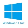 Windows 11 IoT Enterprise 2024 LTSC Entry Runtime licence