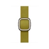 Watch Acc/42/Chartreuse Modern Buckle - Medium