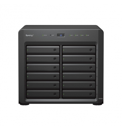 Synology DS2422+ Disk Station