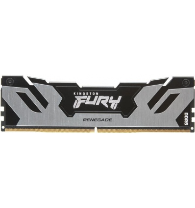 Kingston FURY Renegade/DDR5/48GB/6000MHz/CL32/1x48GB/Black/Silv