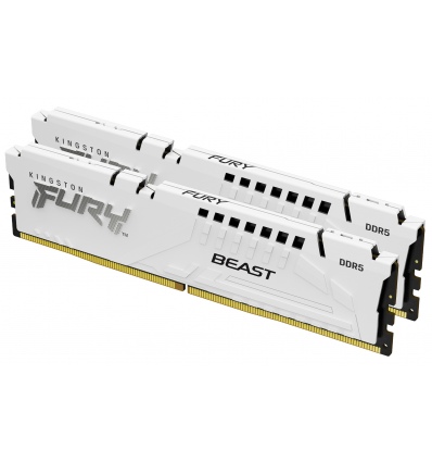 Kingston FURY Beast EXPO/DDR5/32GB/6000MHz/CL30/2x16GB/White