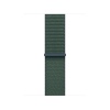 Watch Acc/42/Lake Green Sport Loop