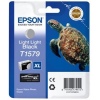 EPSON T1579 Light light black Cartridge R3000