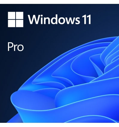 MS Windows 11 Professional 64-bit Eng 1pk OEM DVD