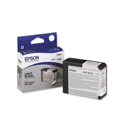 Epson T580 Light Black (80 ml)