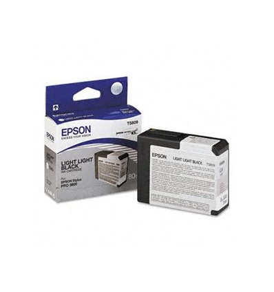 Epson T580 Light Light Black (80 ml)