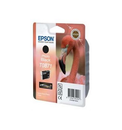 EPSON SP R1900 Photo black Ink Cartridge (T0871)