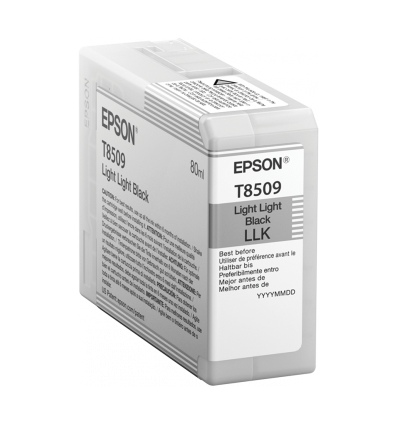 Epson Singlepack Photo Light Light Black T850900 UltraChrome HD ink 80ml