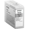 Epson Singlepack Photo Light Light Black T850900 UltraChrome HD ink 80ml