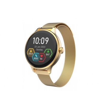 CARNEO Hero mini HR+/Gold/Elegant Band/Gold