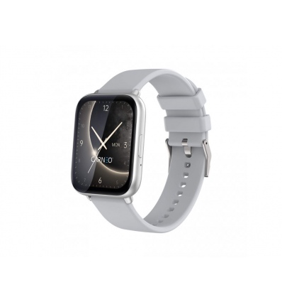 CARNEO Artemis HR+/Silver/Elegant Band/Silver