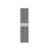 Watch Acc/41/Silver Milanese Loop