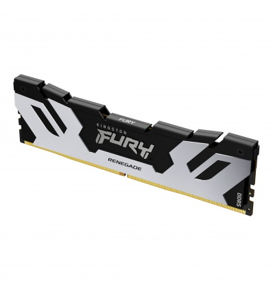 Kingston FURY Renegade/DDR5/16GB/6000MHz/CL32/1x16GB/Black/Silv