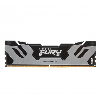 Kingston FURY Renegade/DDR5/32GB/6000MHz/CL32/1x32GB/Black/Silv