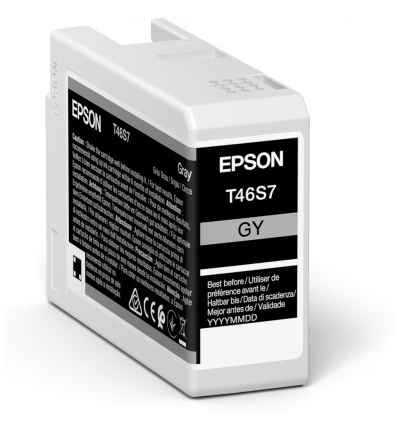 Epson Singlepack Gray T46S7 Ultrachrome