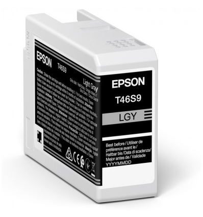 Epson Singlepack Light Gray T46S9 Ultrachrome