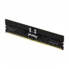 Kingston FURY Renegade Pro/DDR5/16GB/5600MHz/CL28/1x16GB/Black