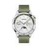 Huawei Watch GT 4/46mm/Silver/Elegant Band/Green