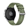 Huawei Watch GT 4/46mm/Silver/Elegant Band/Green