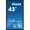 43" iiyama TF4339AS-B1AG