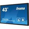 43" iiyama TF4339AS-B1AG