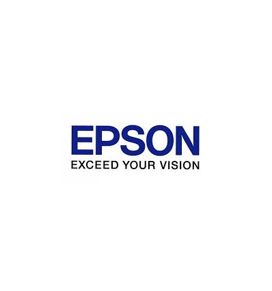 Epson Maintenance Box C869