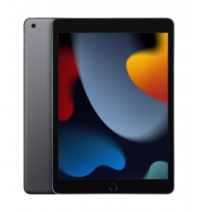 Apple iPad 9.gen/WiFi/10,2"/2160x1620/256GB/iPadOS15/Space Gray