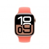 Watch Acc/42/Tangerine Sport Band - S/M