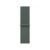 Watch Acc/40/Sage Sport Loop